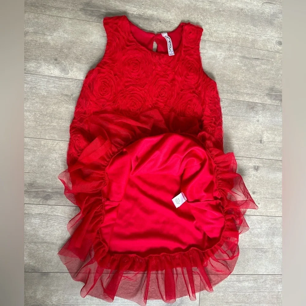 KnitWorks LOS Angeles Boutique Girls Red Rose Lace Silk Layered Dress